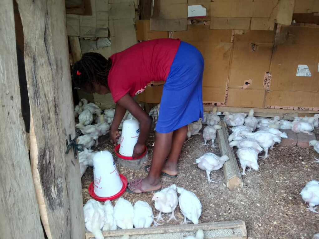 EQUIPPING YOUTH WITH SKILLS FOR SUSTAINABLE EMPLOYMENT